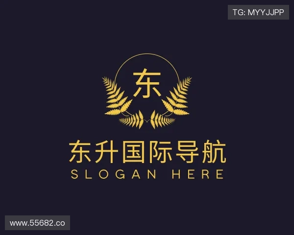 介绍东升国际导航